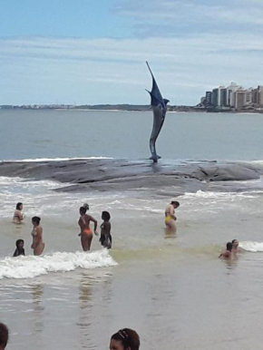 Apartamento na Praia do Morro